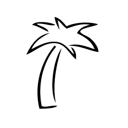 Palm Tree Outline