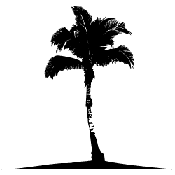 Palm Tree - Single